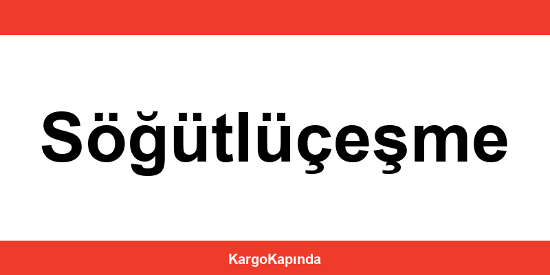 Aras Kargo Söğütlüçeşme şubeleri ve iletişim bilgileri